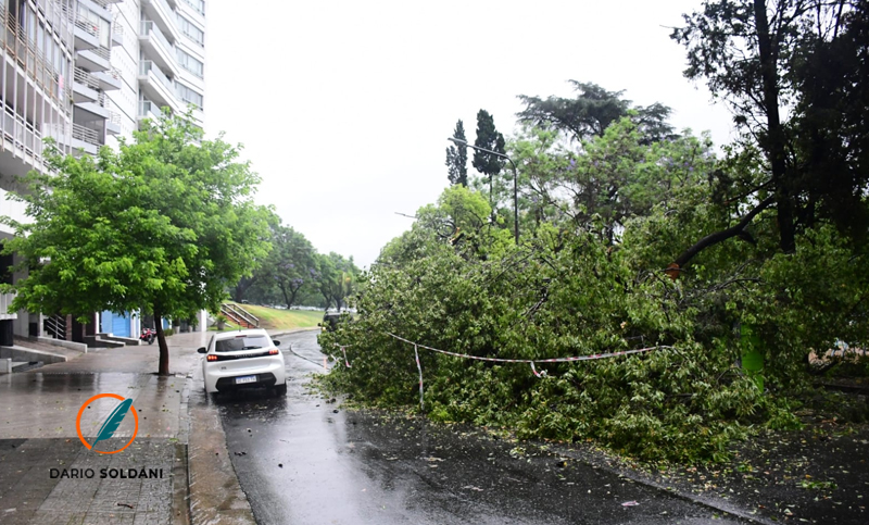 Alerta amarilla por ráfagas de viento de hasta 80 kilómetros por hora