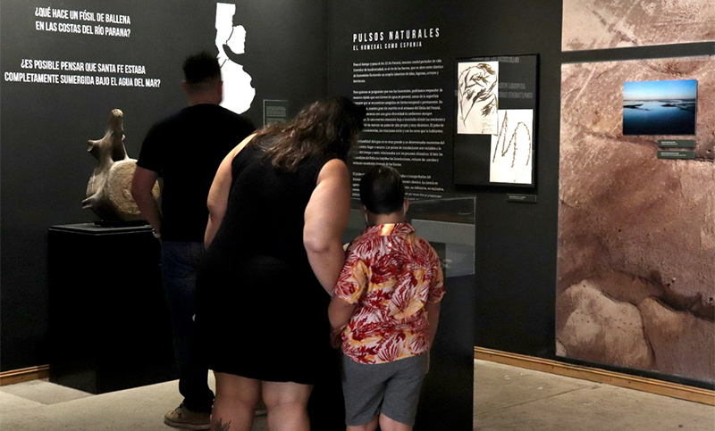 Fin de semana de Carnaval: visitas gratuitas al Museo Gallardo con nuevos ejemplares y actividades