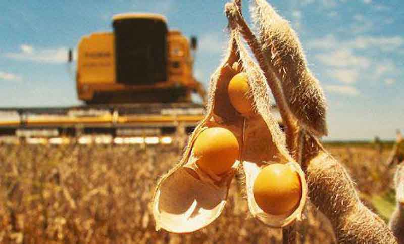 Pese a alza en el precio de granos, habrá productores que no recuperarán lo perdido en la sequía