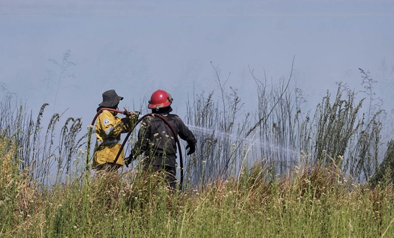 Permanecen activos focos de incendios forestales en Corrientes, Río Negro y Misiones