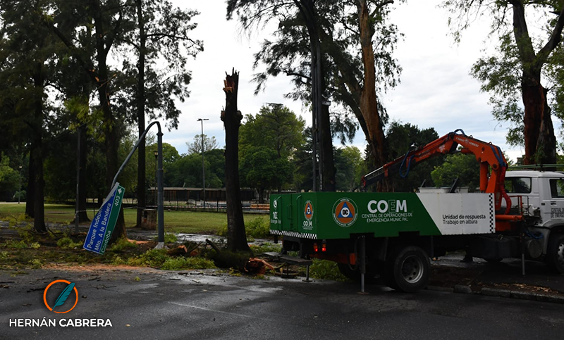 Una rama de un árbol cayó sobre dos autos en el Parque Independencia