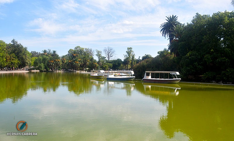 Por qué el agua del lago del Parque Independencia tiene un tono verdoso