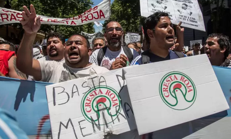 Dictaminan a favor de la cooperativa de trabajadores de la empresa Cresta Roja