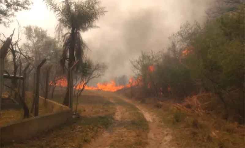 Permanecen activos los incendios forestales en cinco provincias