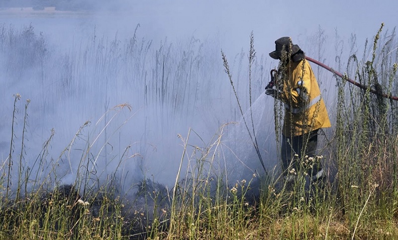 Brigadistas continúan combatiendo focos activos de incendios en Corrientes, Río Negro y Misiones