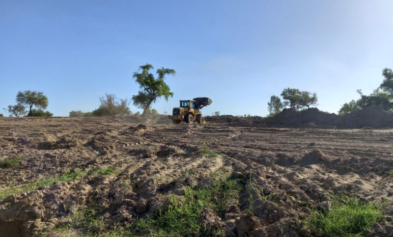 Desmonte de bosques nativos: denuncian penalmente al municipio de San Nicolás