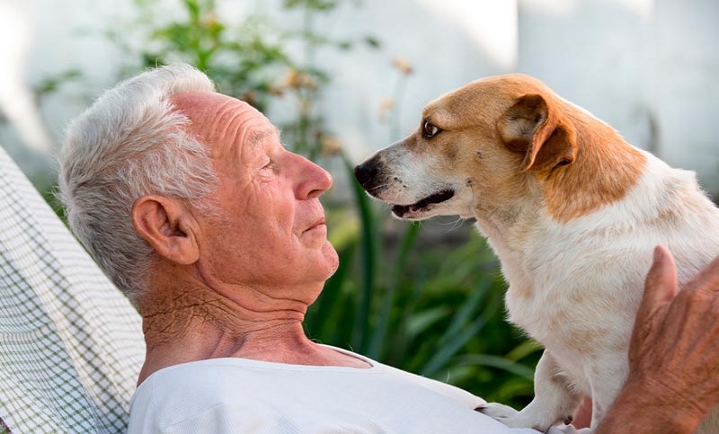 Estudio reveló que los animales reducen el deterioro cognitivo en los adultos mayores
