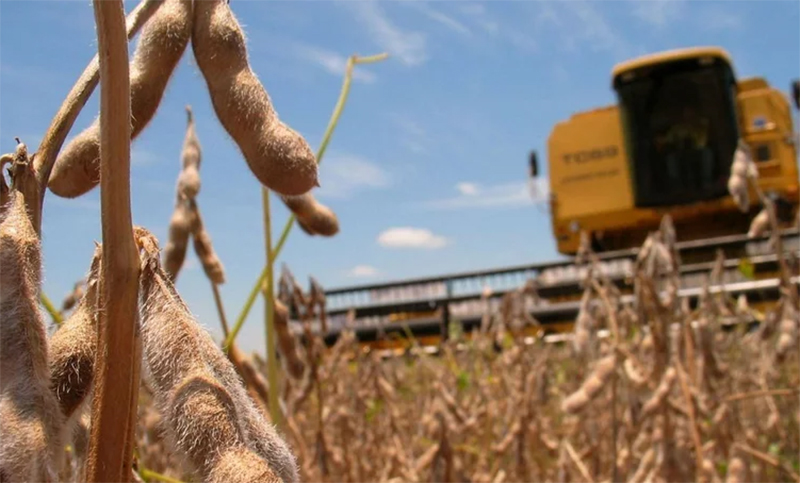 Rige en Santa Fe la emergencia y desastre agropecuario