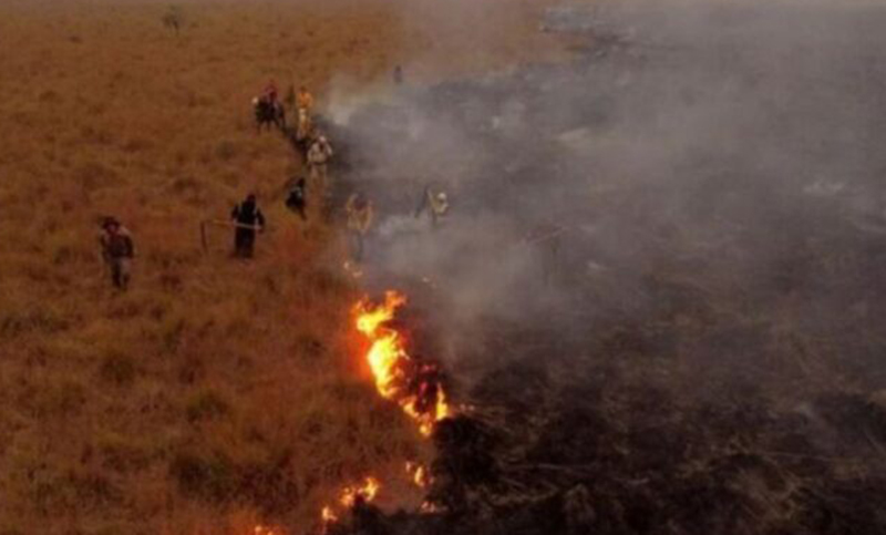 Se reactivaron focos de incendios en zonas de esteros de Corrientes