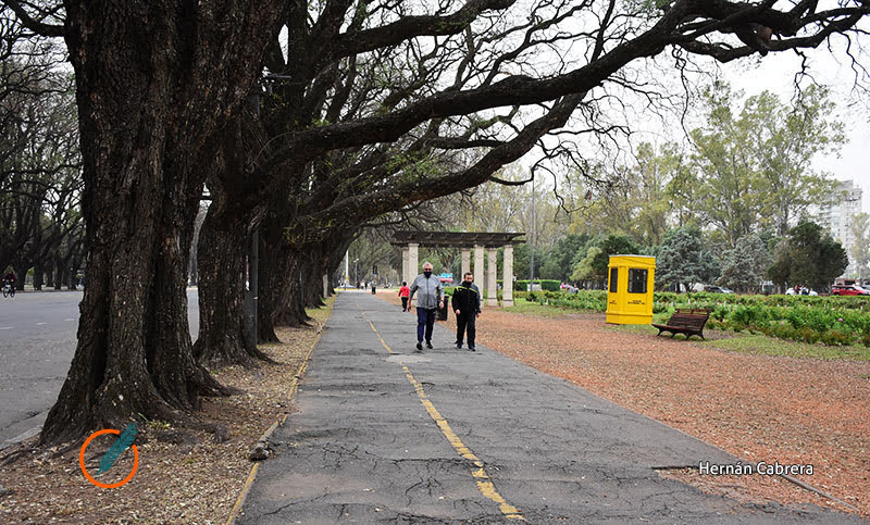 Proponen reforestar el Parque de la Independencia