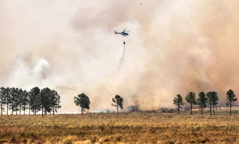 Afortunadamente, las continuas lluvias en Corrientes pusieron fin a los incendios