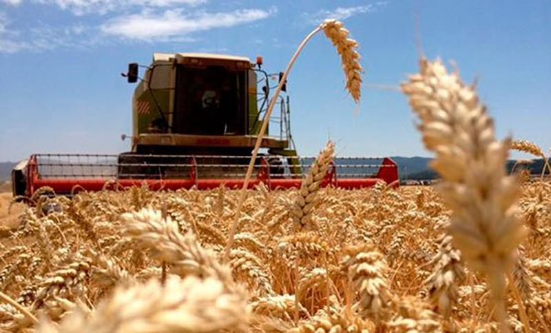 Santa Fe lanzó un programa para aumentar la siembra y abastecer la demanda de granos