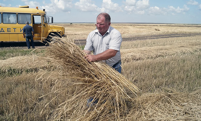 La siembra de trigo en Ucrania se redujo casi 30% y prevén más presión sobre el precio