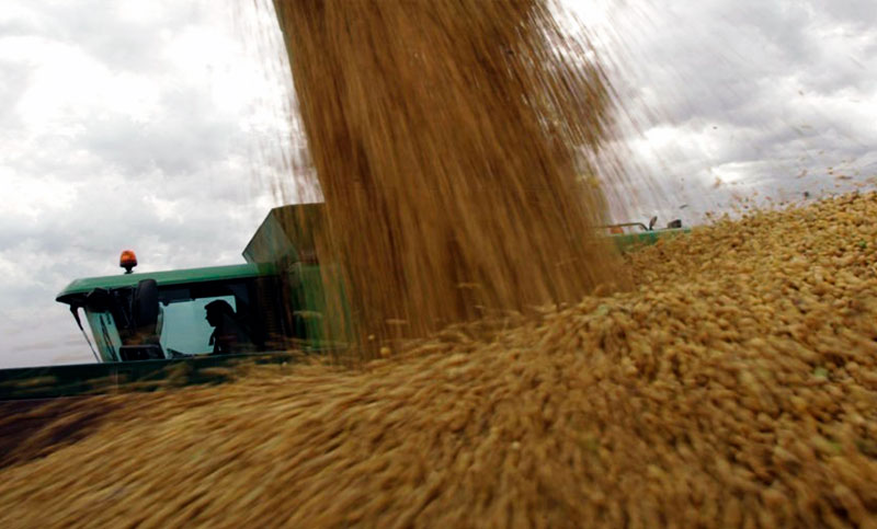 El Gobierno reabrió las exportaciones de harinas de maíz y aceite de soja