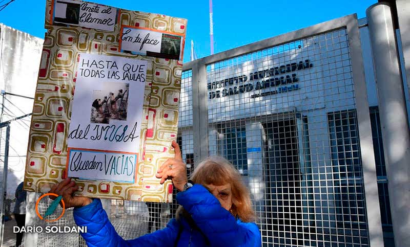 Proteccionistas frente al Imusa: exigen que haya un registro de todos los animales en adopción