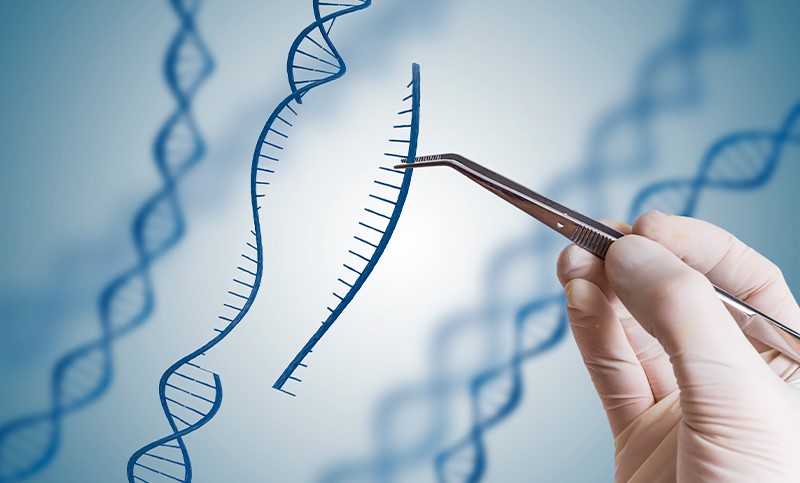 Gene drives o impulsores genéticos