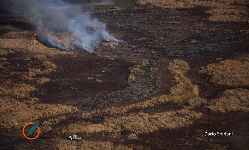 Solicitan incorporar el delito de Ecocidio al código procesal penal de Santa Fe