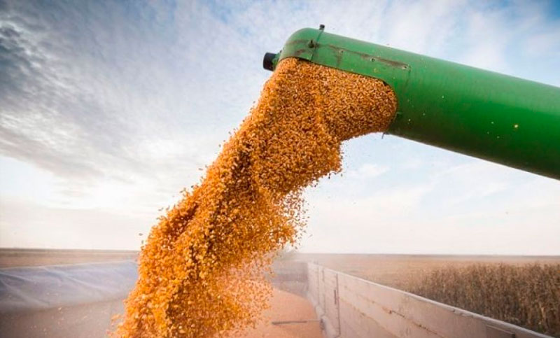 La ONU advierte que los precios internacionales de los alimentos registraron un nuevo récord histórico