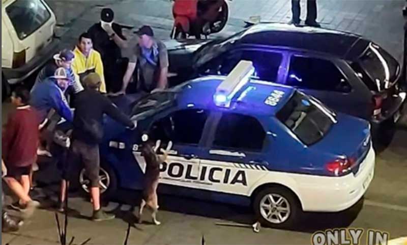 Córdoba: un perro imitó a cinco sospechosos durante un operativo y se hizo viral