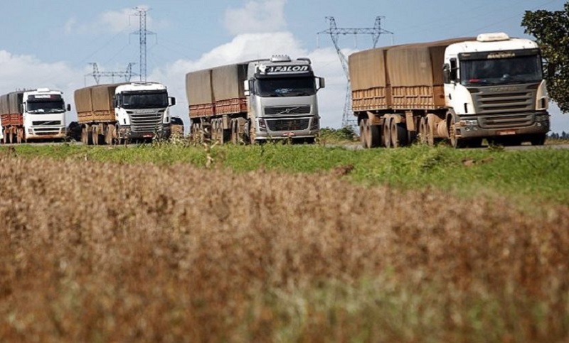 Transportistas de granos pararán por tiempo indefinido por actualización de tarifas y falta de gasoil