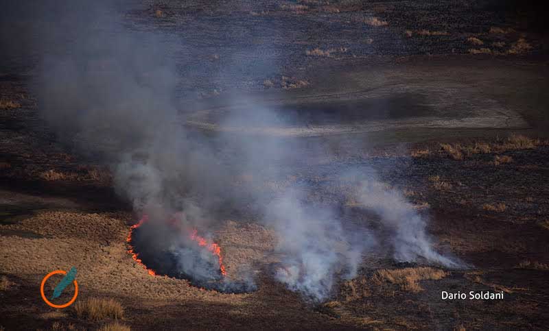 Brigadistas combatieron incendios en islas del Paraná