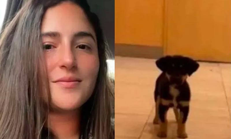 Una joven le robó el perro a un indigente, pidió ayuda económica y terminó escrachada