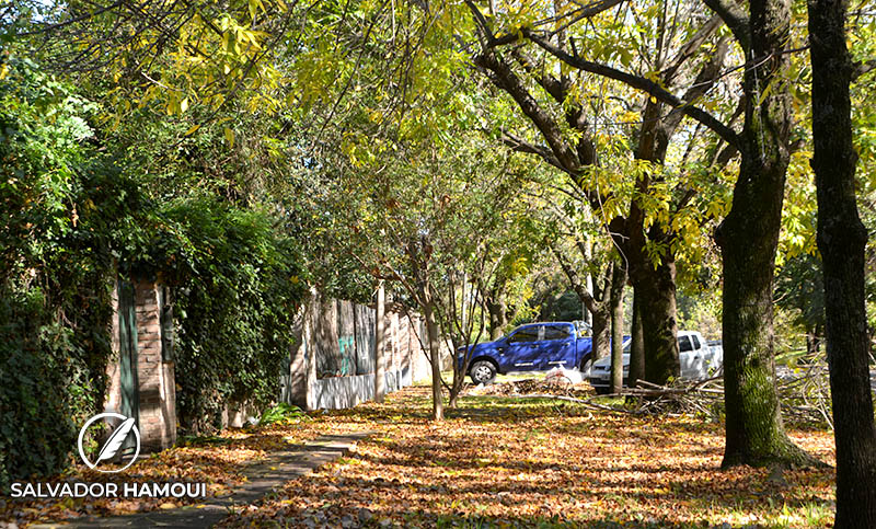 Otoño: la estación que cruje y el marrón se apodera de la geografía de los barrios