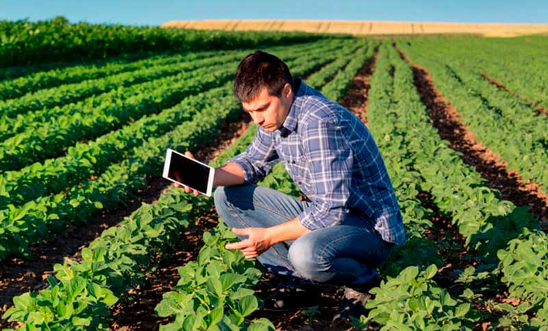 Lanzaron una comunidad digital para que productores agropecuarios compartan información