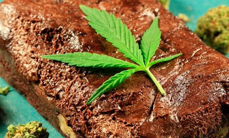 Estudiantes se intoxicaron por consumir brownies «locos»