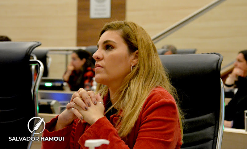 Gigliani aseguró que su proyecto de cotitularidad busca facilitar el acceso a licencias de taxis