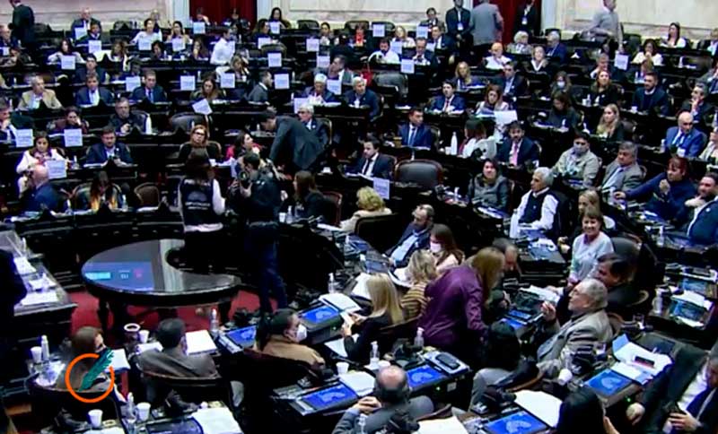 Diputados aprobó por unanimidad el proyecto de alivio fiscal a monotributistas