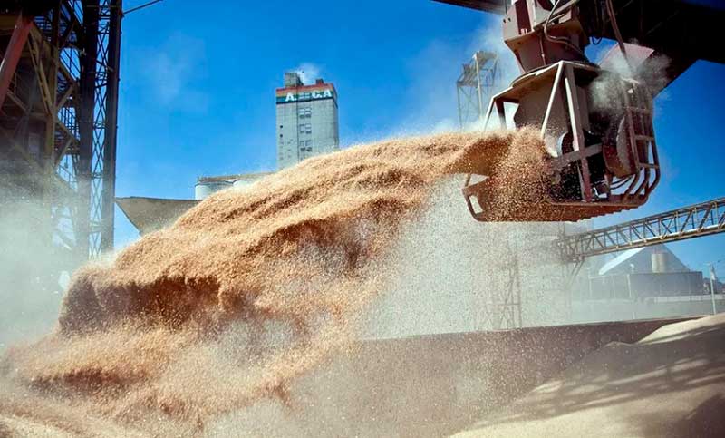 Retoman negociaciones para que Ucrania siga exportando granos y así evitar la crisis alimentaria