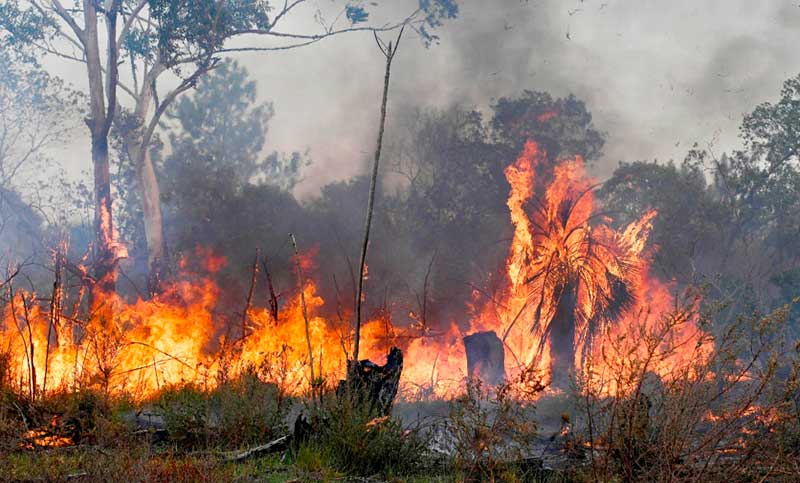 Fueron contenidos los incendios forestales en la provincia