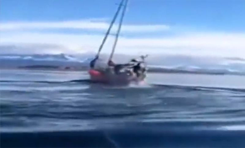Una ONG denunciará a los navegantes de un velero que embistió a una ballena en el Canal de Beagle