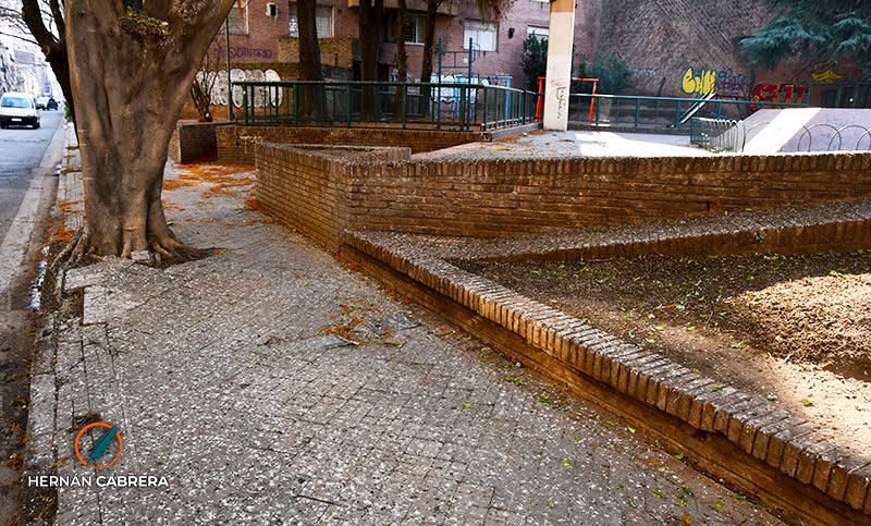 Pese a la gran cantidad de ejemplares y sus excrementos, las palomas no son considerada plaga