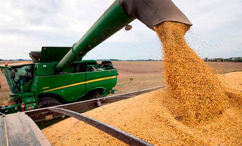 Agroexportadores liquidaron en primer semestre US$ 19.145 millones, la mayor marca para ese período