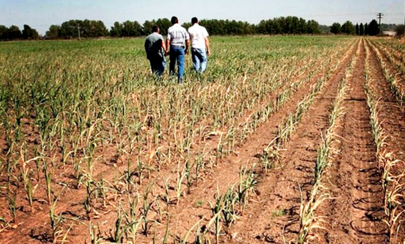 Escasa actividad agrícola en Santa Fe por condiciones climáticas