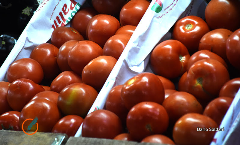 Los precios de la lechuga, la papa y el tomate subieron más del 20%