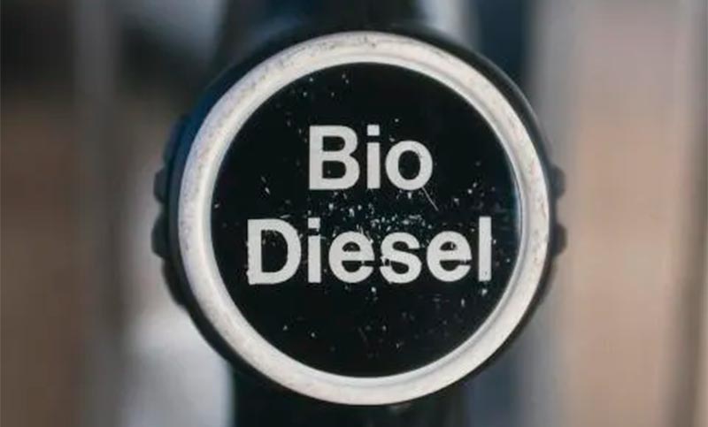 Tras reunión con referentes del agro, el Gobierno extendió el corte de biodiesel al 12,5%