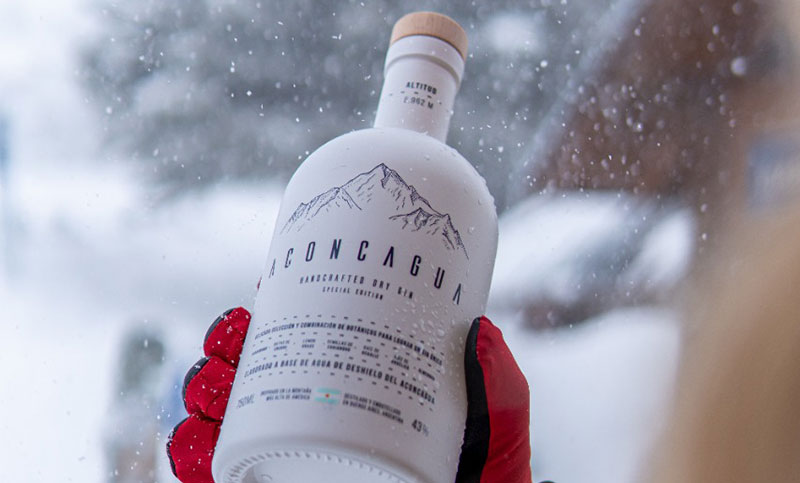 Aconcagua Gin: la empresa nacional que sueña con convertirse en un éxito de exportación