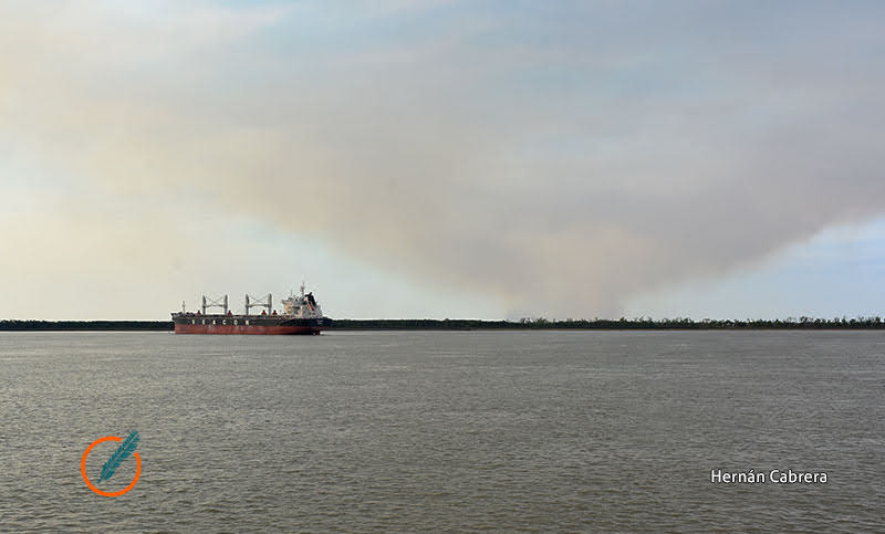 Aquí Estamos: la quema en los humedales, el humo que afecta a Rosario y la zona, no incide en el régimen de lluvias