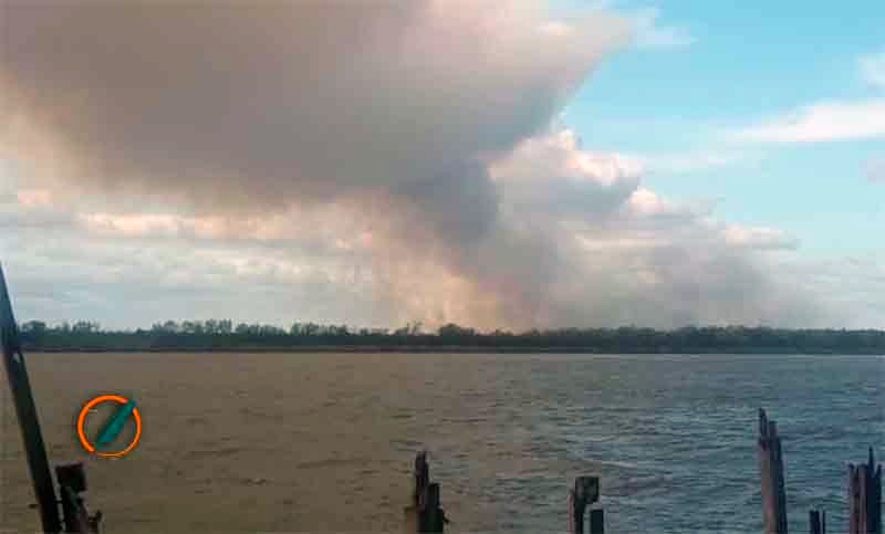 Continúan activos cinco focos de incendios en las islas del Delta del Paraná