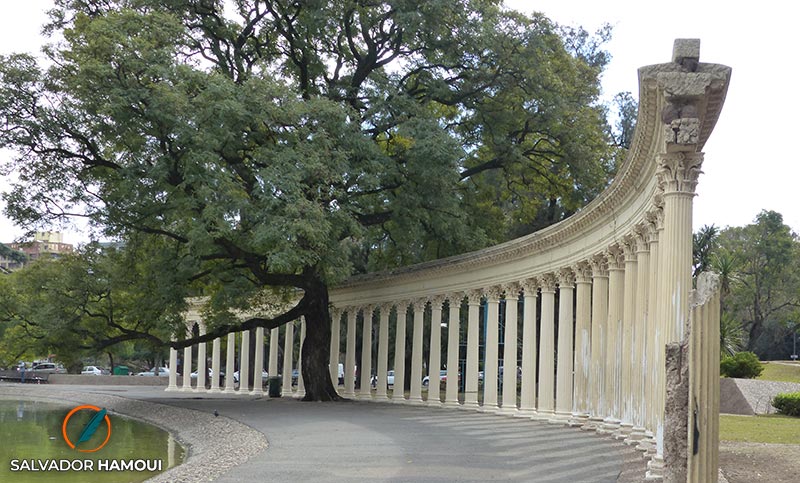 Semana del árbol: numerosas actividades para visibilizar su importancia frente al cambio climático