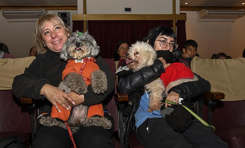Se realizó en Argentina la primera función de cine para perros de Sudamérica