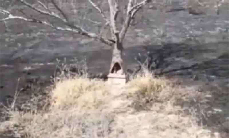 Un incendio arrasó una zona entera, excepto la gruta del Gauchito Gil