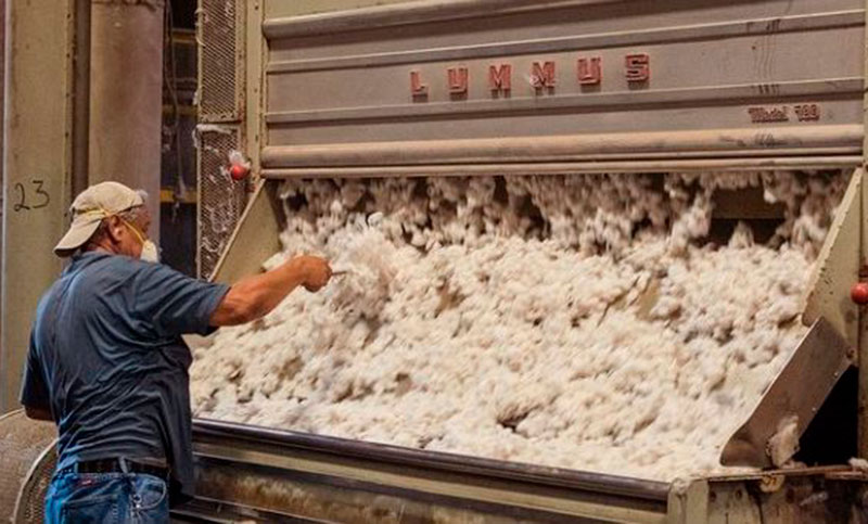 Trabajadores desmotadores de algodón acordaron un aumento salarial