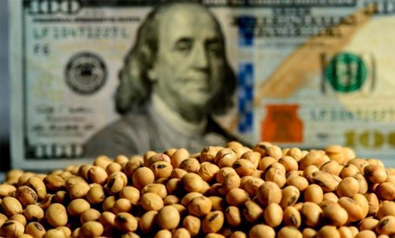 El dólar soja llega a su fin: generó liquidaciones millonarias y reforzó reservas del Banco Central