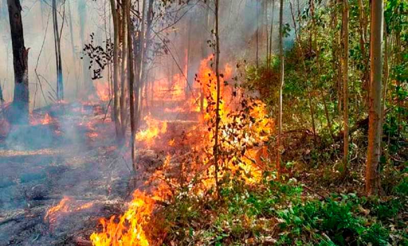 Seis provincias registran incendios activos en el país