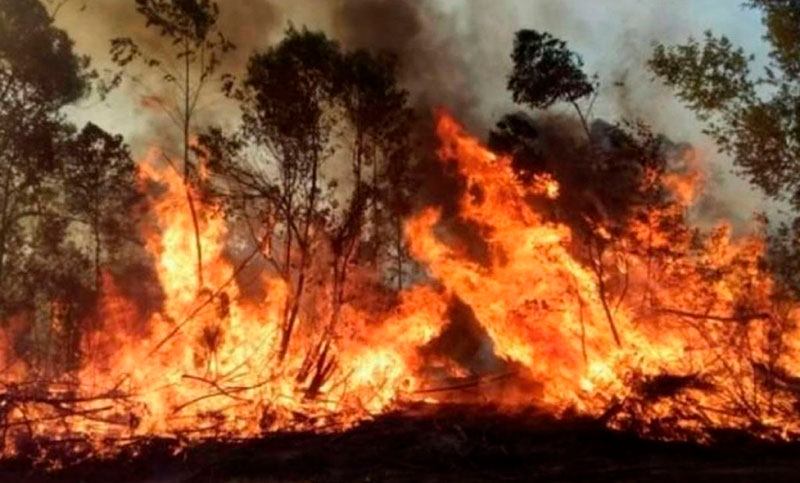 Nueve provincias registran incendios activos en el país