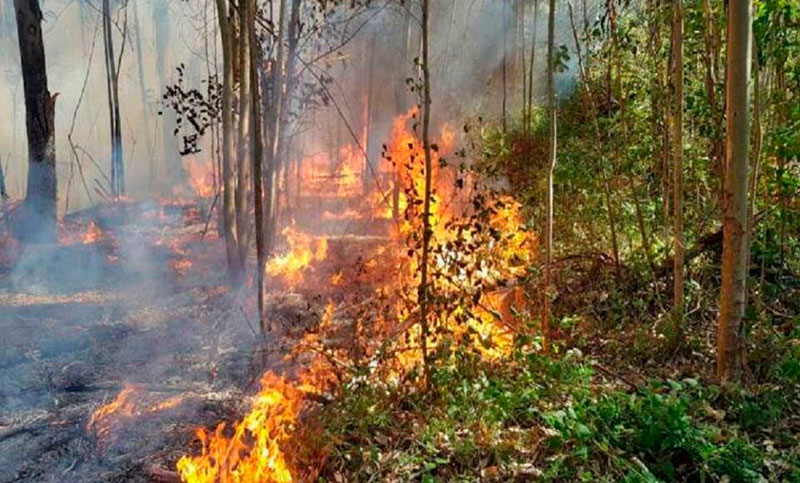 Catamarca, Jujuy, Córdoba y Entre Ríos registran incendios activos